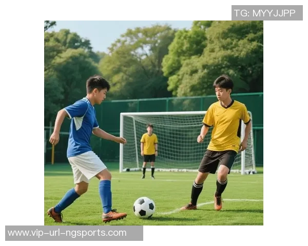 足球进球的多种表达方式与文化内涵探讨